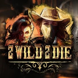 2 Wild 2 Die logo by Hacksaw Gaming Boomzino Casino