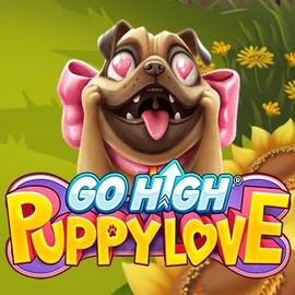 Play the Go High Puppy Love slot by RubyPlay on Boomzino Casino