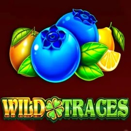 Wild Traces by Amusnet Interactive, showcased at boomzincasino.com – game logo